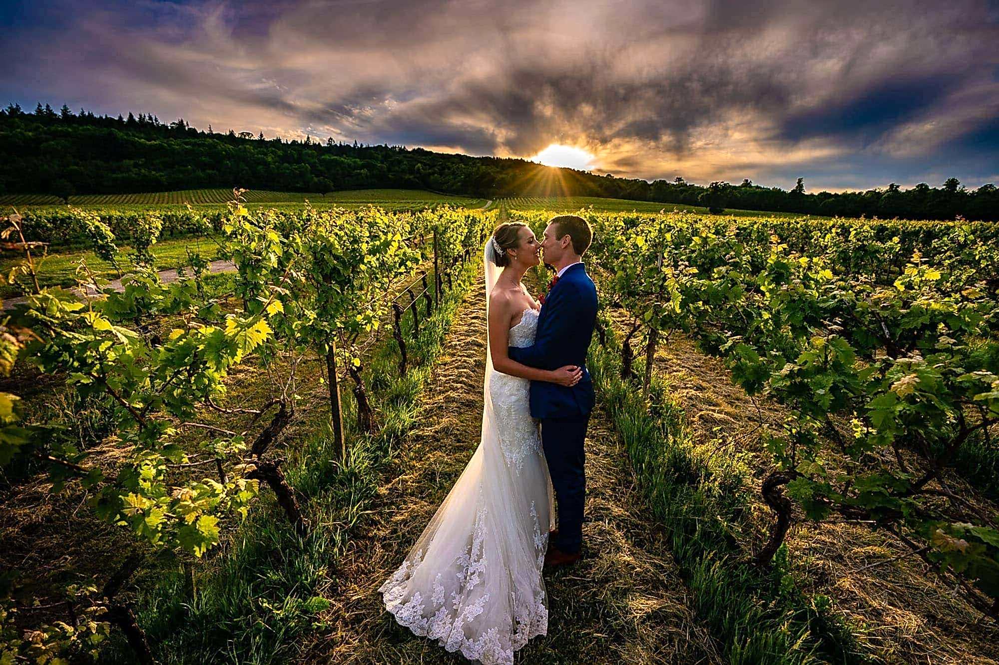 Denbies Wine Estate Wedding Portrait in the vineyard among the vines at sunset